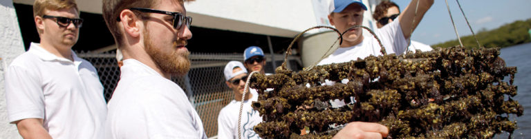 Creating habitats for sealife with old hockey sticks