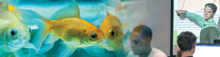 Photo of Marine LIfe and Classroom