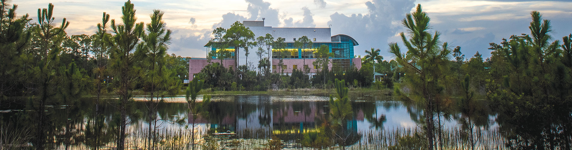 Photo of FGCU Library across the lake