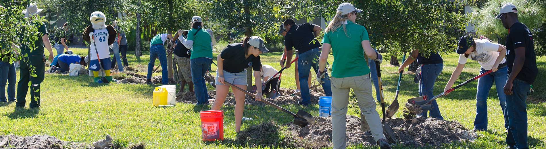 Photo shows FGCU students and staff planting trees