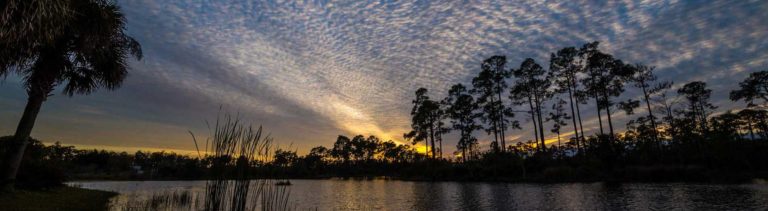 Photo shows Florida wetlands