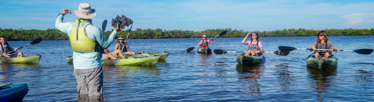 Photo shows kayak nature tour