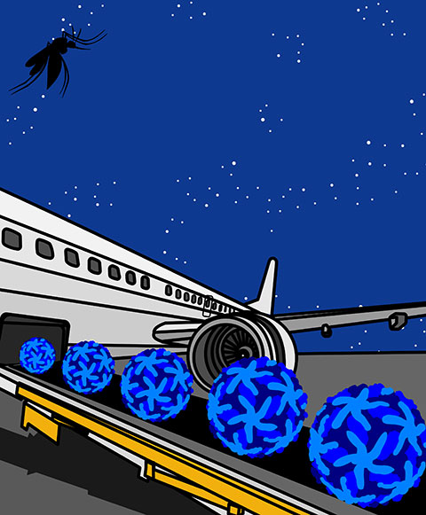 illustration about travel & mosquitoes