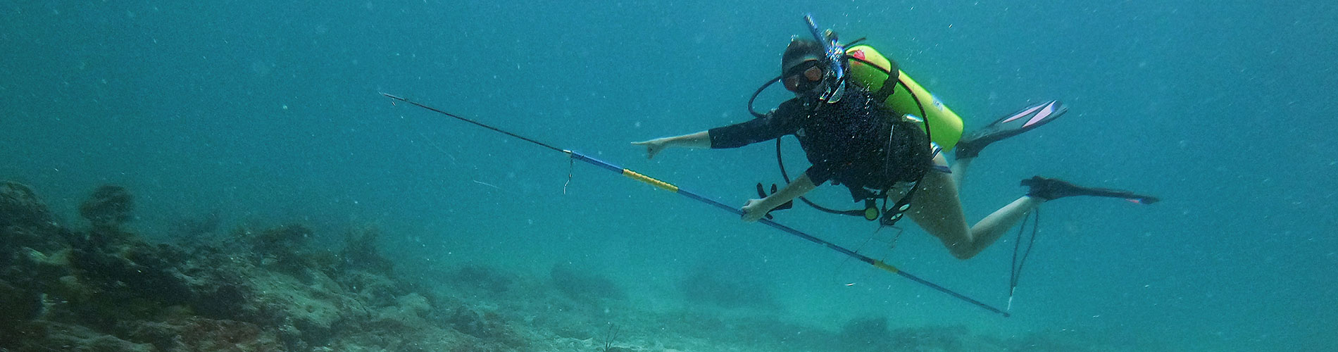 Photo shows FGCU researcher diving