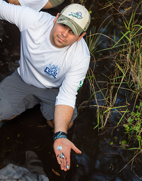 Photo shows fgcu instructor collecting litter