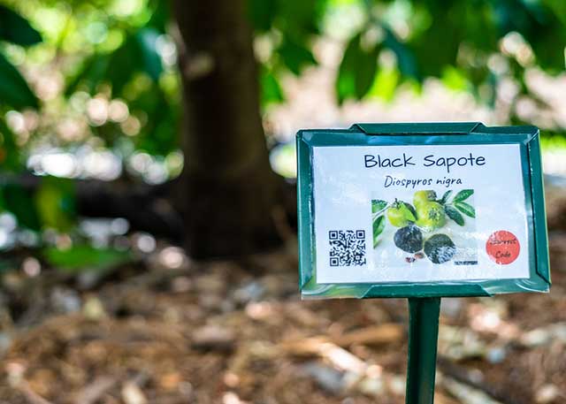 Photo shows a sign in FGCU Food Forest