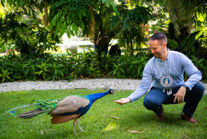 Photo shows man with peacock