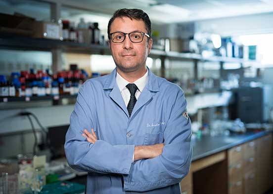 Chemistry lab developing a formula for student success