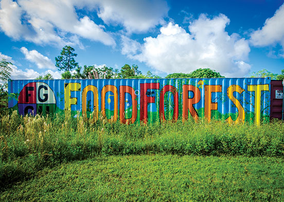 Food Forest Mural