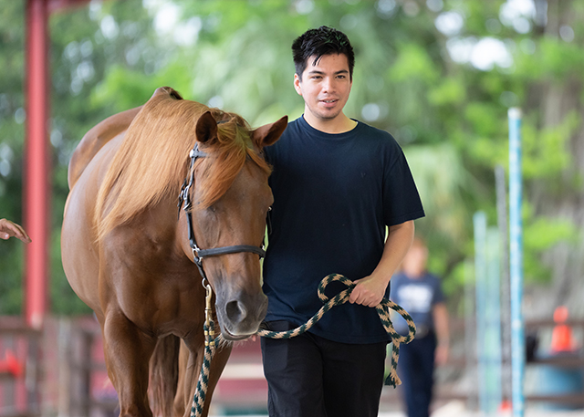 photo shows FGCU student veteran with horse