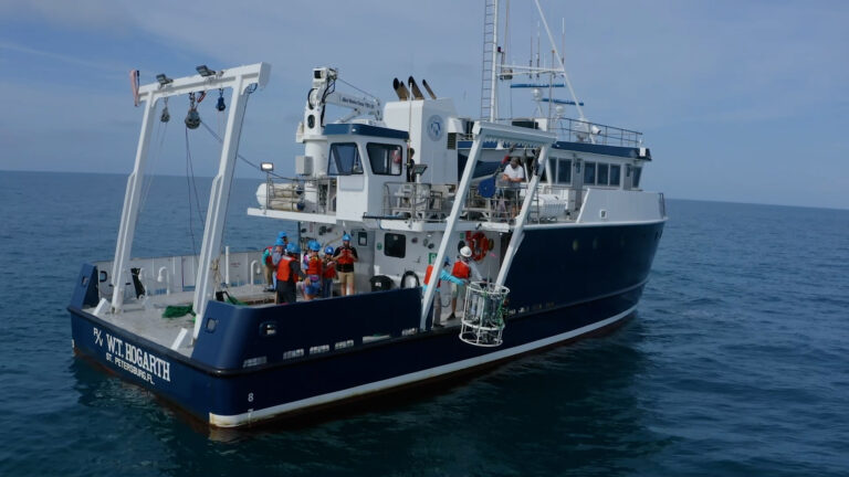 Hogarth at sea with researchers on deck