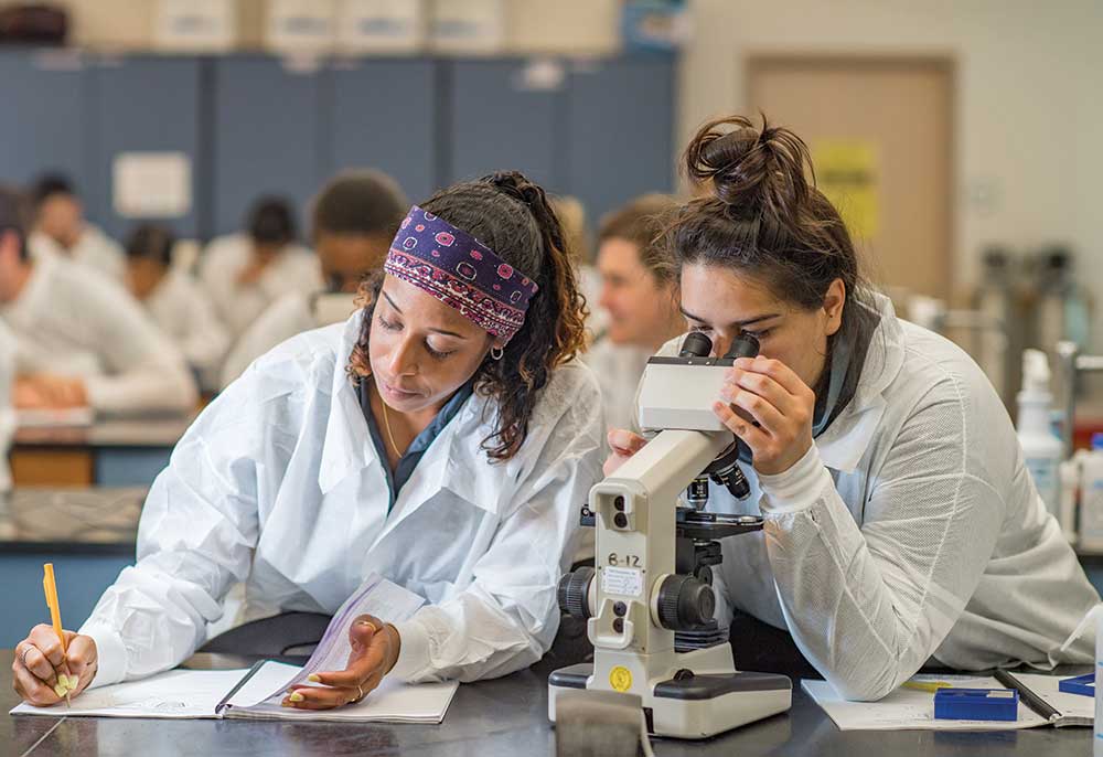 FGCU students working together in a lab