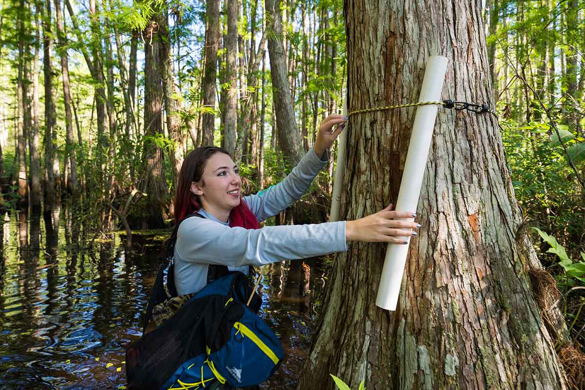 A woman with red-tipped brown hair grabs a white PVC pipe attached to a tree.