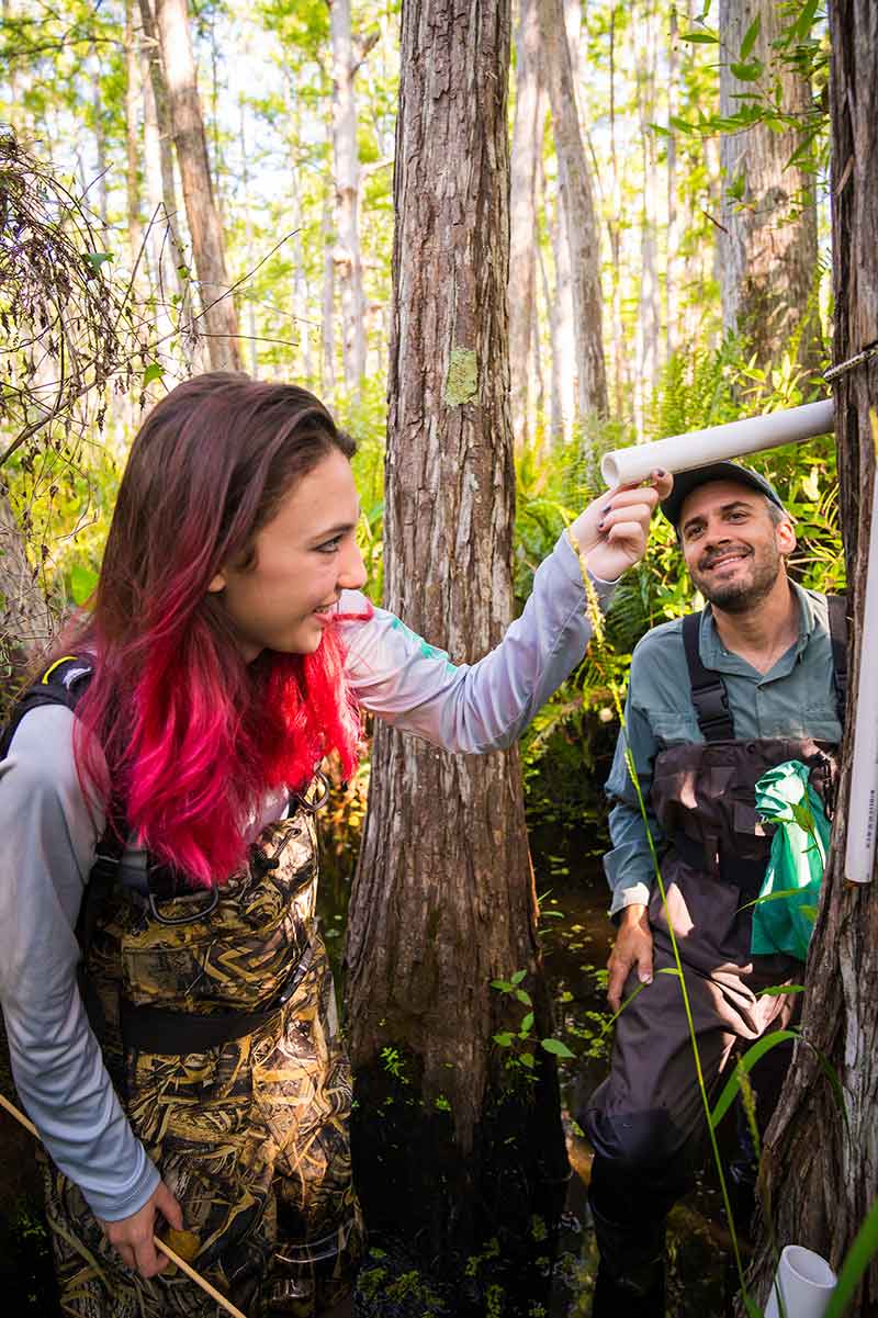 A woman with red-tipped brown hair looks into a white PVC pipe attached to a tree while a man in a baseball cap looks on.