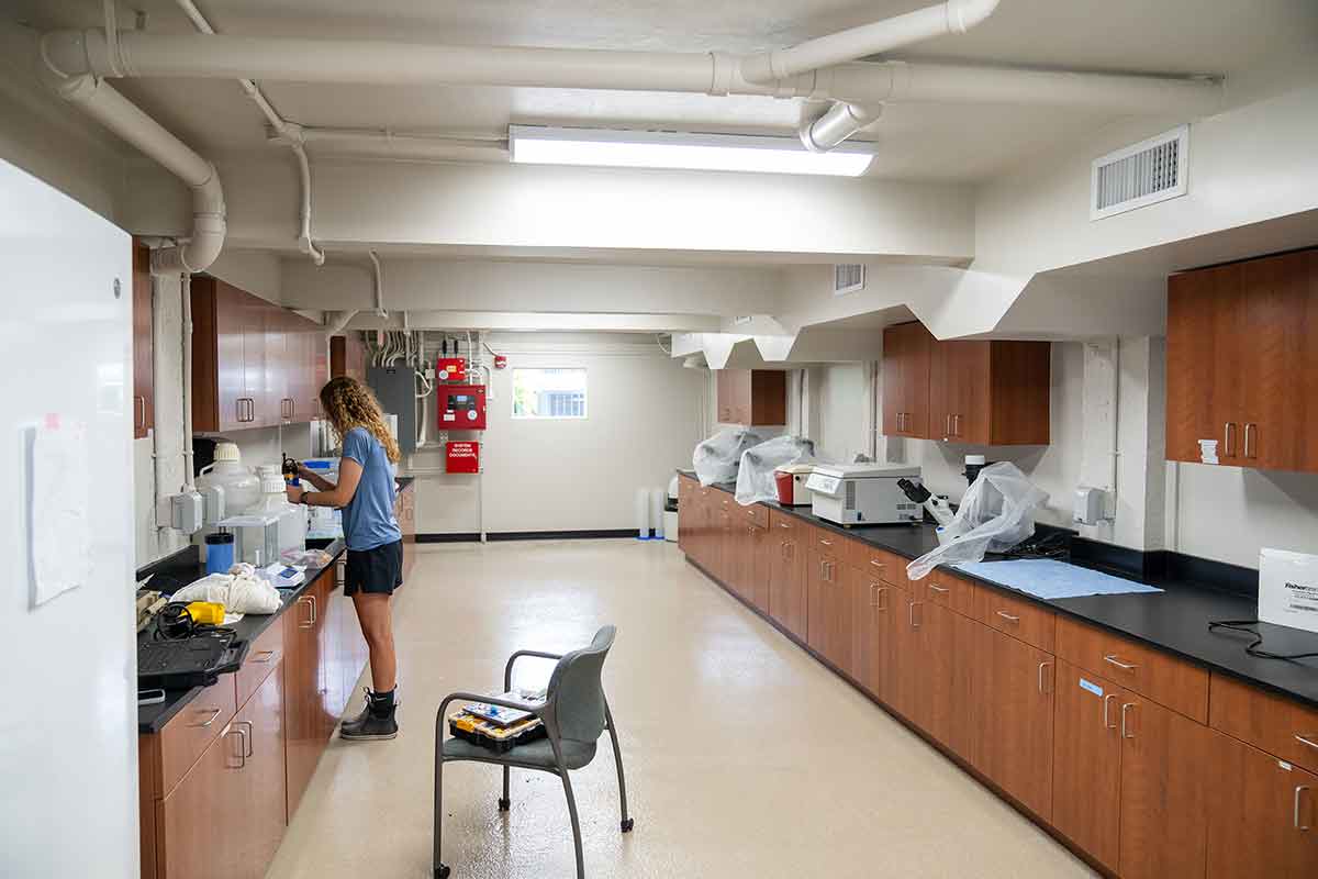 A large room with wood cabinets and several microscopes still covered in plastic. A young woman in a blue shirt and dark shorts works over a sink.