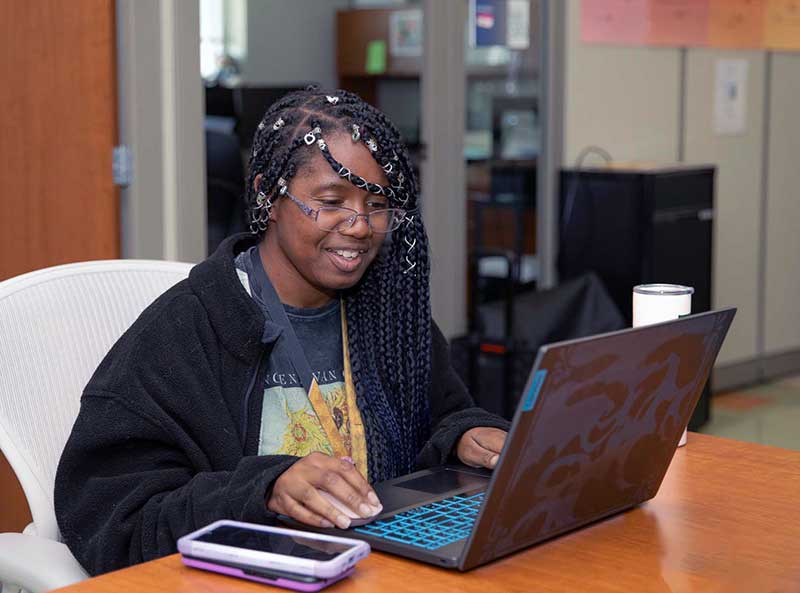 Photo shows a woman working at a laptop computer at a desk.