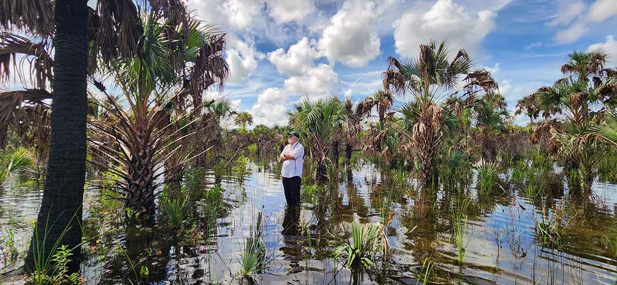 A man with white hair and a white beard in a white button-up shirt and dark pants stands ankle-deep in water, with several palm trees and saw palmetto visible around him. Big, fluffy white clouds fill the sky. His arms are folded across his chest and he looks meditative.