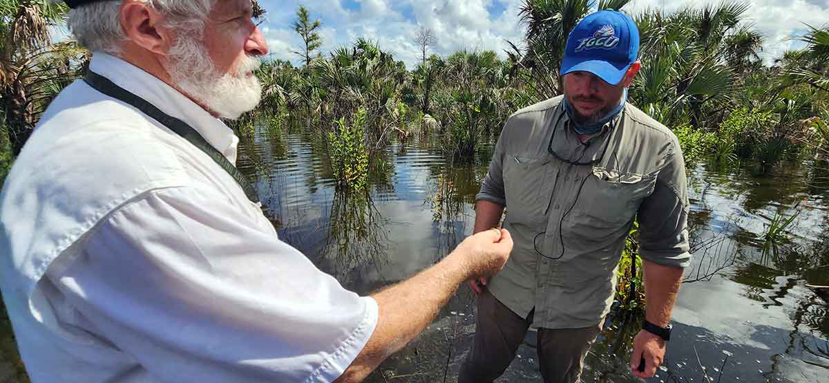 A man with white hair and a white beard in a white button-up shirt hands a small unidentifiable object to a younger man in a blue FGCU hat, khaki pants and a beige button-up shirt. They are standing in water, with palm trees and saw palmetto visible behind them