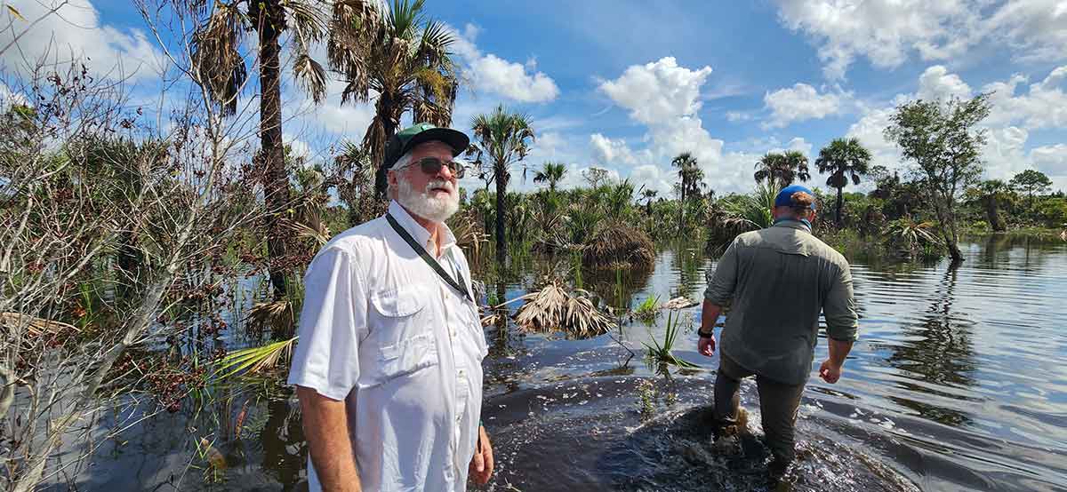 A white-bearded man in a green baseball cap and white button-down shirt stands looking off-camera next to a younger man in a blue cap and green-beige button-down shirt wading away in knee-deep water.