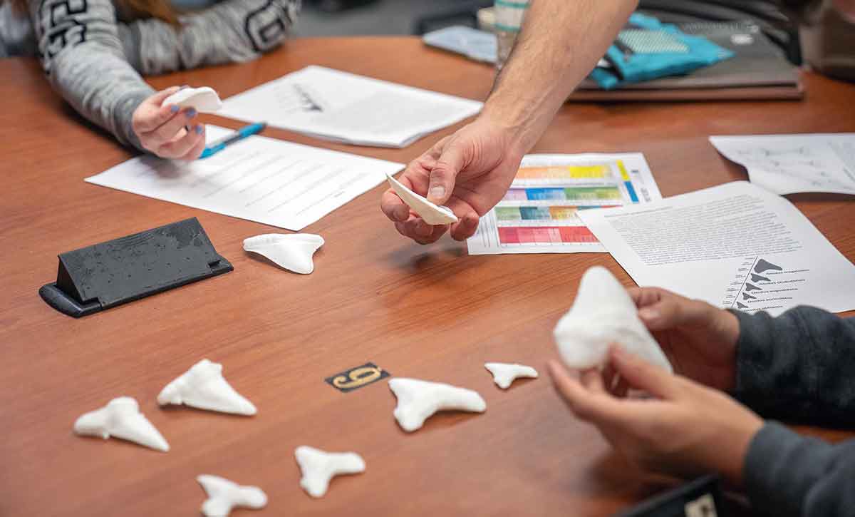 Three disembodied hands hold white, 3D-printed megalodon teeth. On the table in front of the hands lay six more white teeth.