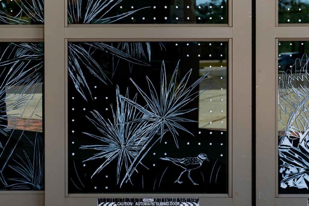 Eagles blend art with science to help prevent birds hitting buildings ...