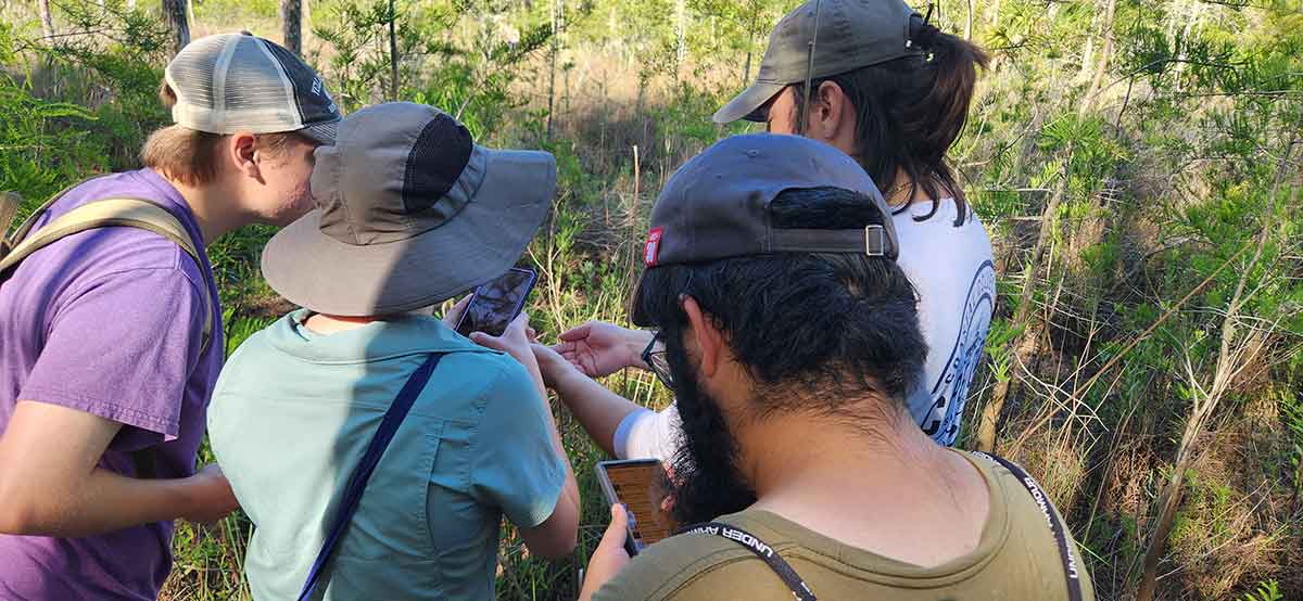 A group of four people in a forested area face away from the camera looking at a cell phone