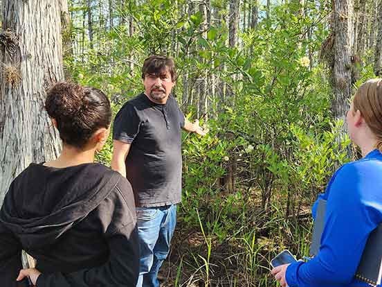 A man facing the camera in a black t-shirt and blue jeans points to a bushy plant in the forest while talking to two young women facing him