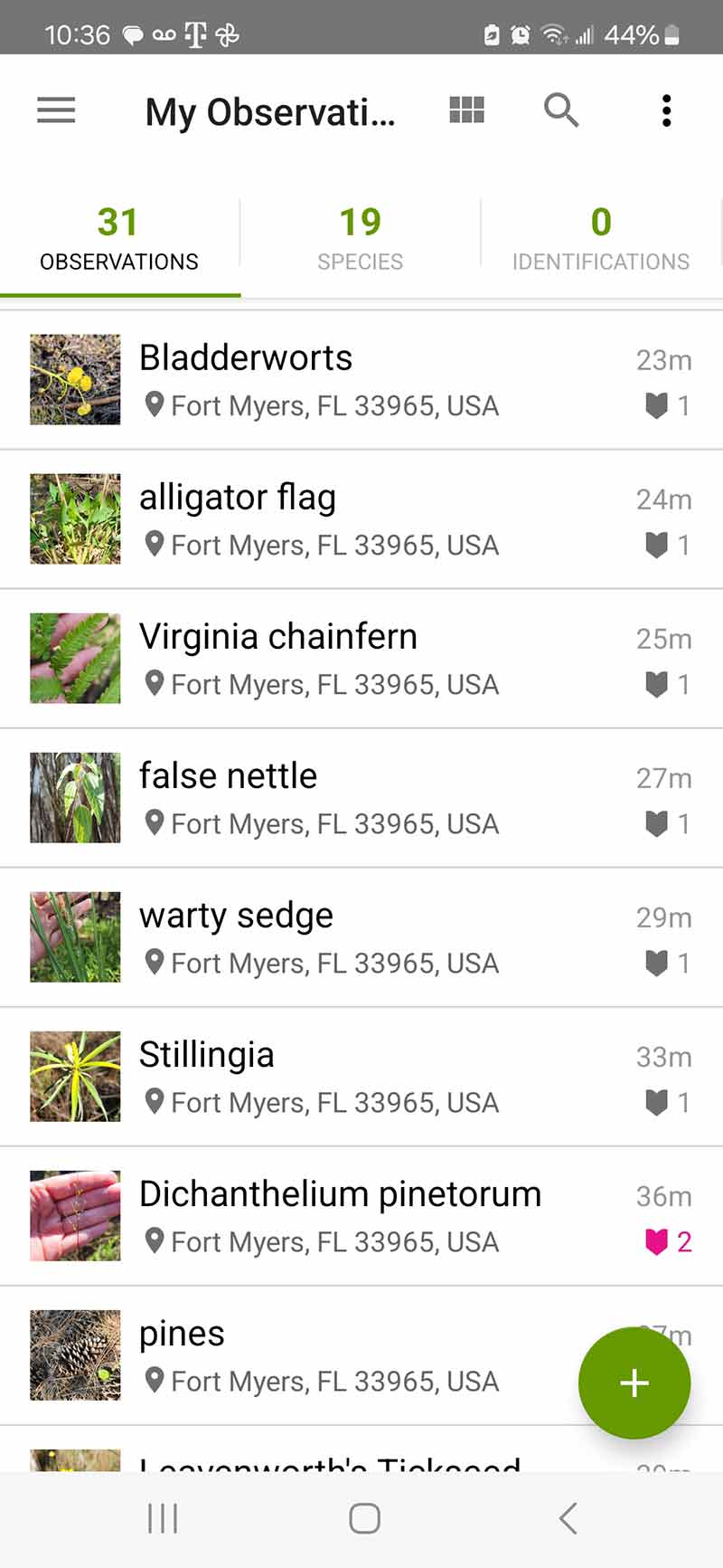 A screenshot of the of an app shows 31 observations at 10:36am with battery power at 44%