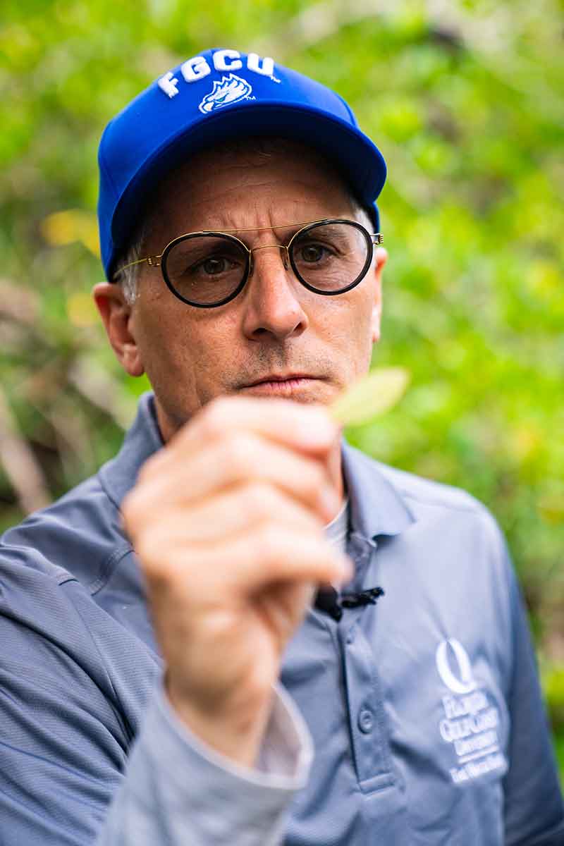 A man in a long-sleeved, light grey polo and a blue FGCU hat holds a leaf just out of focus