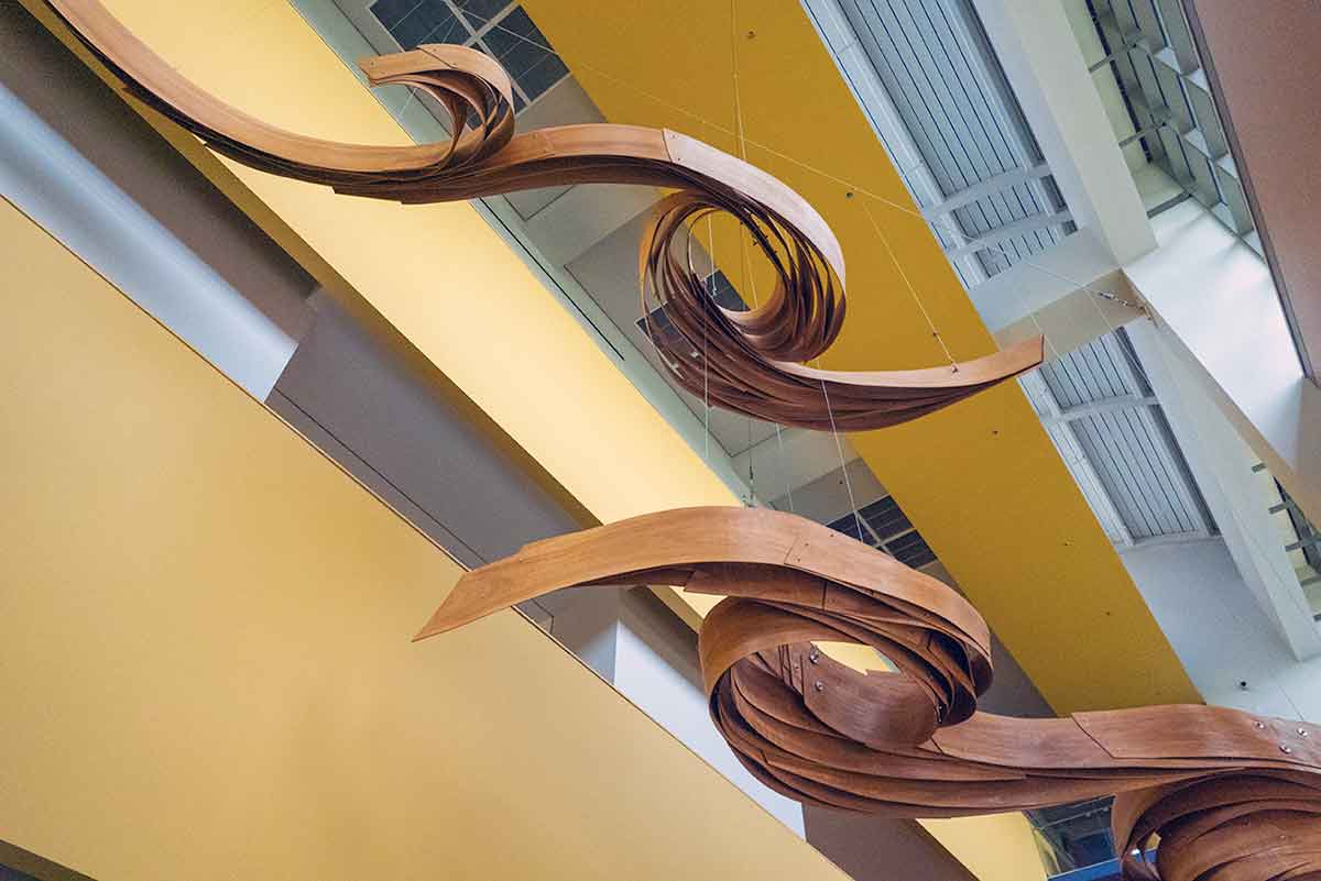 A photo from beneath an art installation hanging from the ceiling. The artwork features two forms, each about 25 feet long, crafted from layered cherry veneer and metal