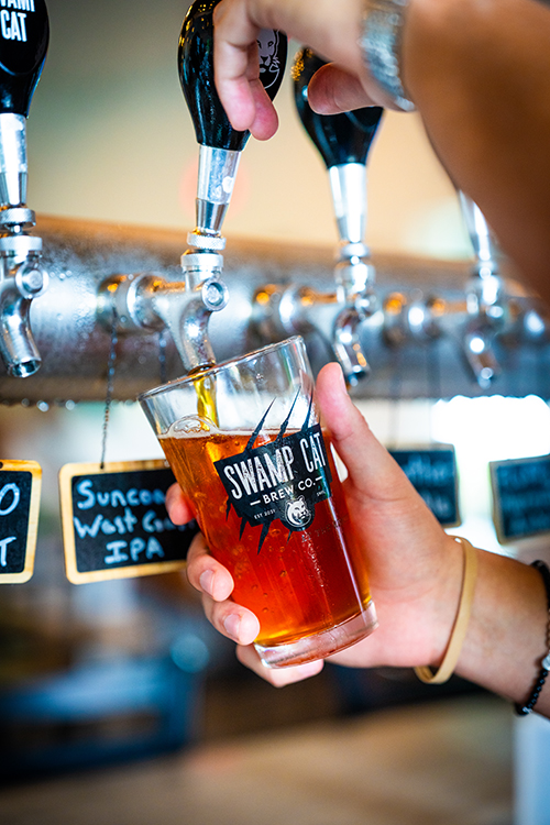 A person is pouring beer from a tap into a glass at a bar. The glass has the logo 'SWAMP CAT BREW CO.' printed on it. There are multiple beer taps visible, each with black handles and small chalkboard signs hanging below them. One of the signs reads 'Suncore West Coast IPA.