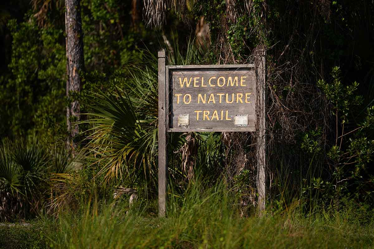 A wooded area with a wooden sign reading Campus Nature Trail