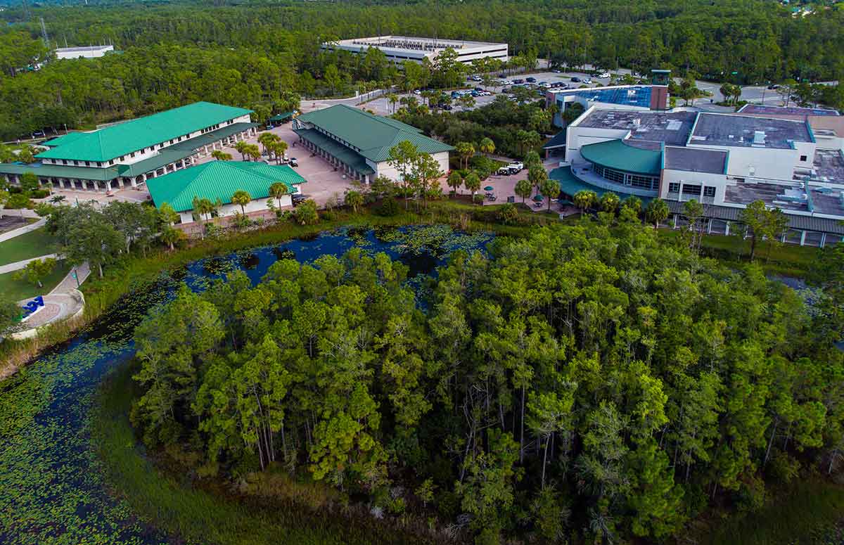 A drone photo of the FGCU campus, with campus buildings in the middle, surrounded by a lush, green forest at the top and an island of trees surrounded by a moat of campus pond