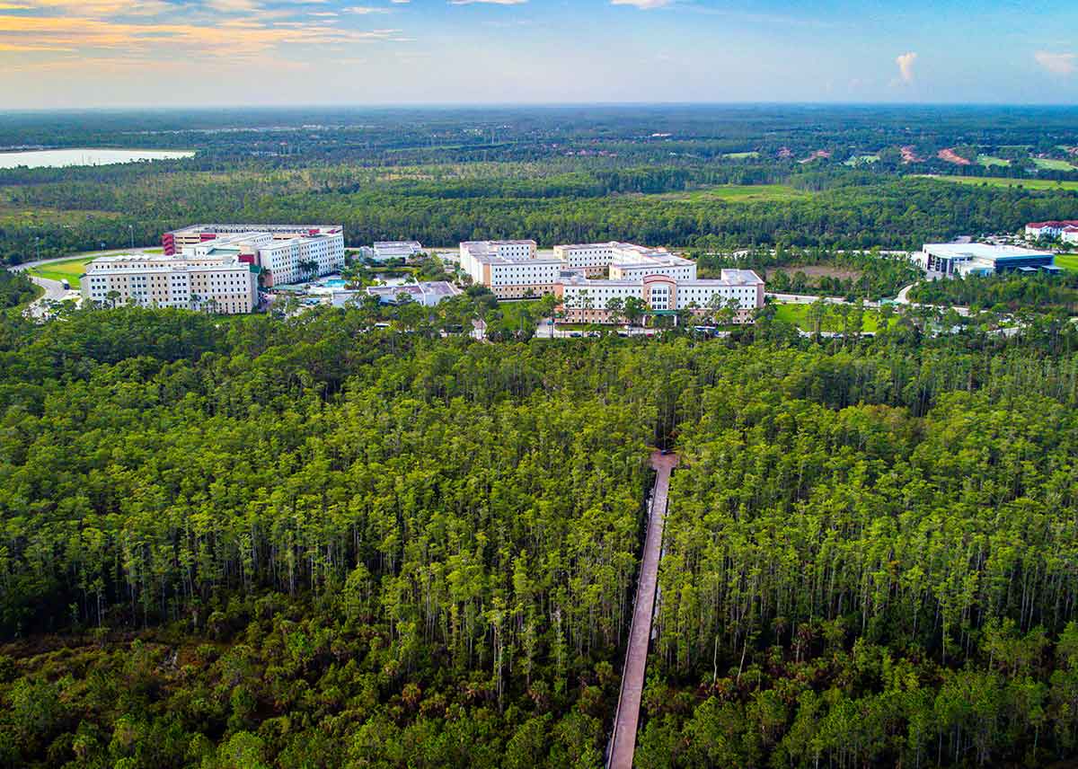A drone photo of the FGCU campus, with the blue sky horizon at the top quarter, campus buildings in the middle quarter, and a lush, green forest taking up a full half of the photo, with a brown, wooden boardwalk cutting through toward the buildings