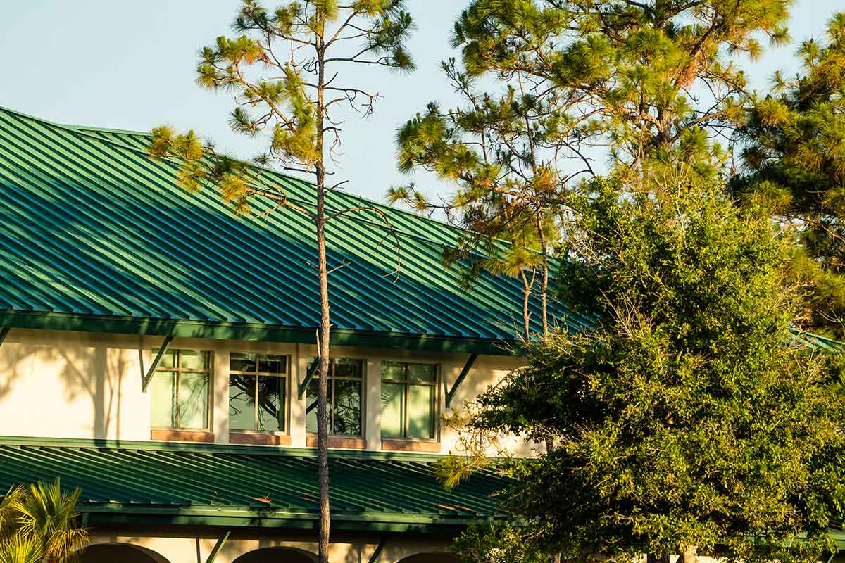 A thin pine tree stretches above a green-roofed, two-story building, with other trees and shrubs to the right