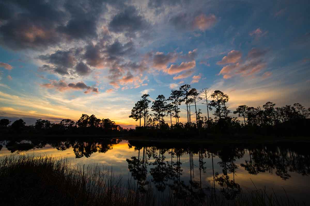 A serene landscape at sunset with a calm body of water reflecting the sky and trees. Tall, slender trees are silhouetted against the colorful sky, which features shades of blue, orange, and pink with scattered clouds. The foreground includes some grasses near the water's edge. The overall scene is peaceful and picturesque, capturing the beauty of nature during twilight.
