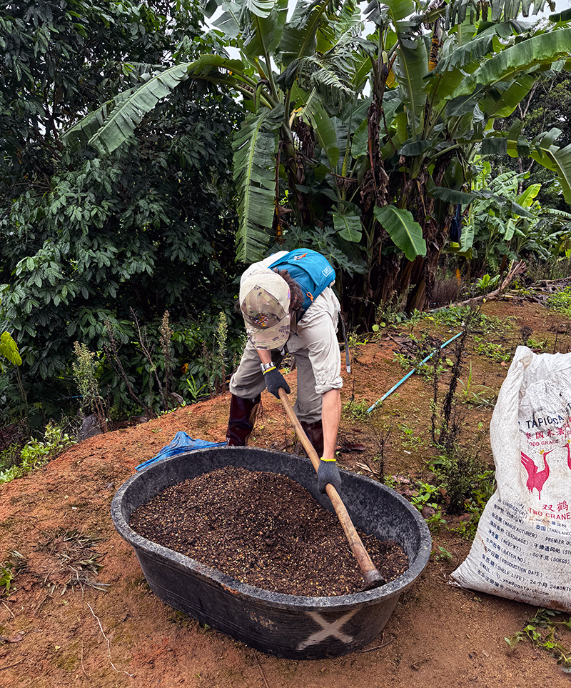 A person wearing a hat, gloves, and boots uses a long-handled tool to mix soil or compost in a large black container outdoors. They are surrounded by banana trees and dense vegetation, with a white sack featuring red text and graphics nearby on reddish-brown soil.