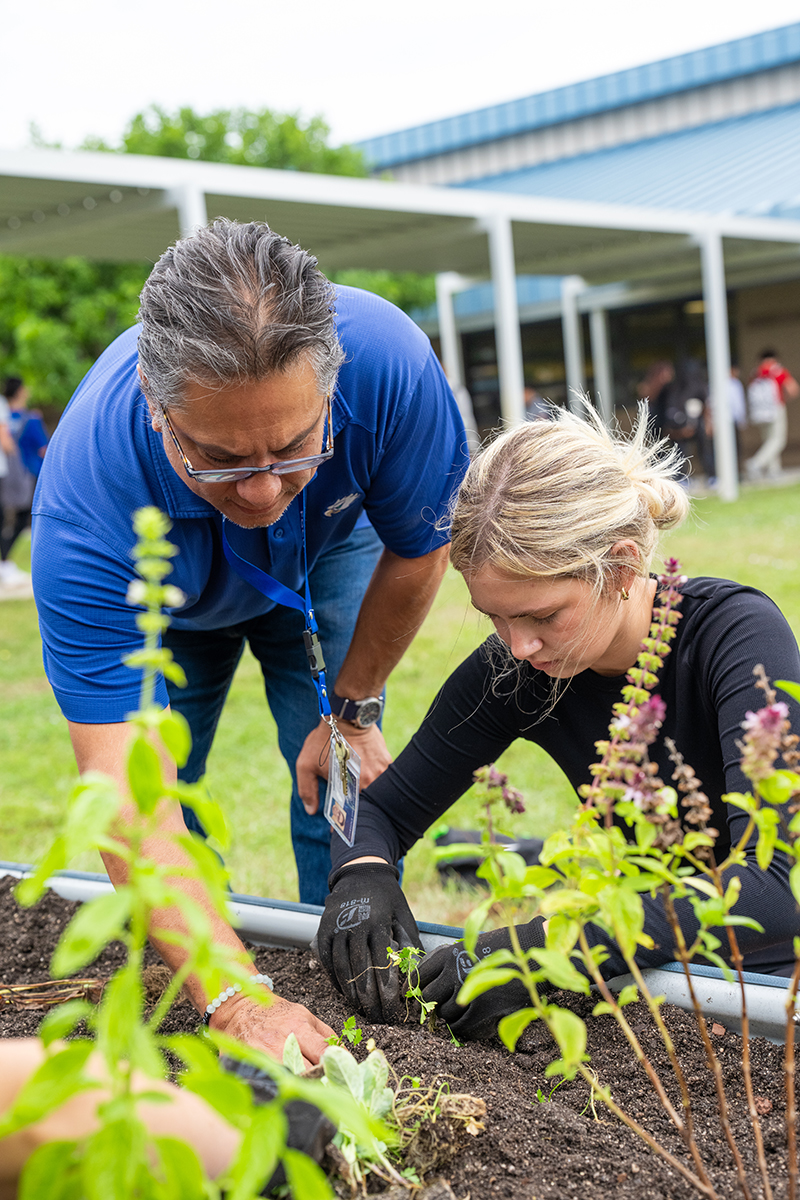 Two people tending plants in an outdoor garden bed near a school building.