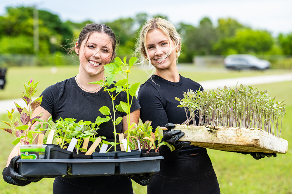 Two people holding trays of seedlings and young plants outdoors on a grassy field.