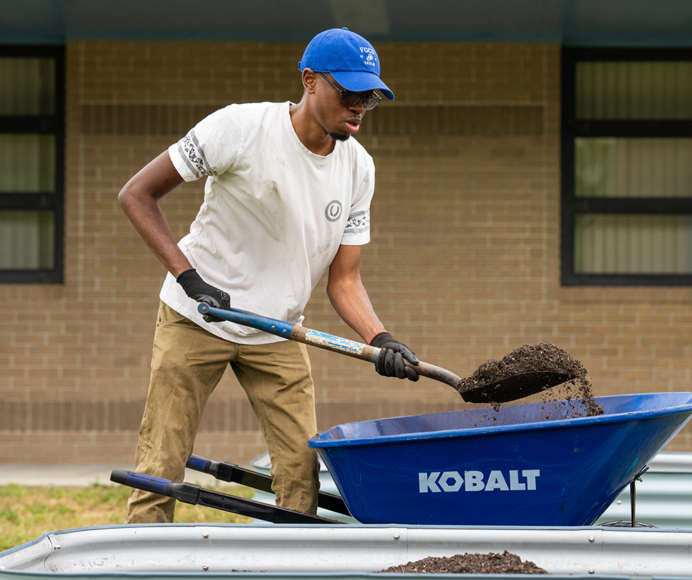 Person shoveling soil into a blue wheelbarrow during outdoor gardening work near a brick building.