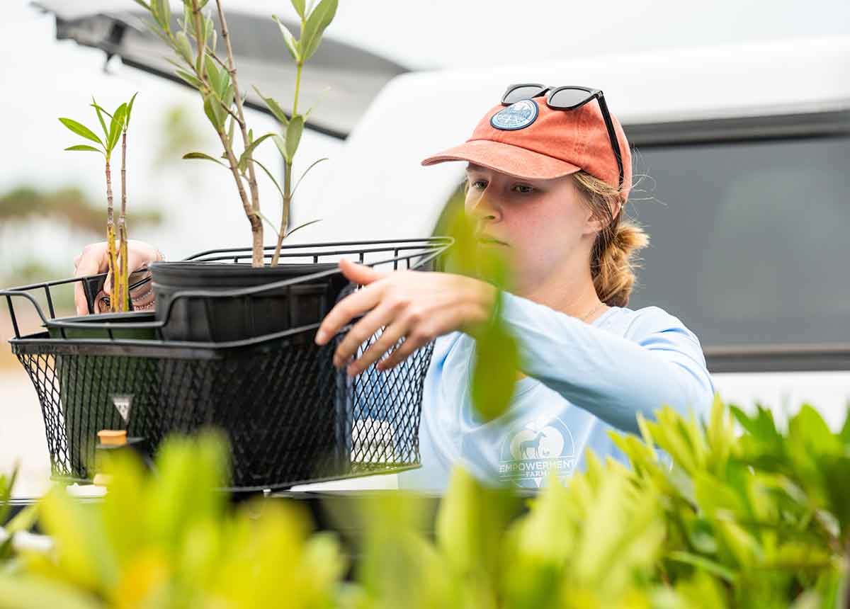A woman in a pale blue, long-sleeved short and orange cap carries potted mangrove plants off a truck