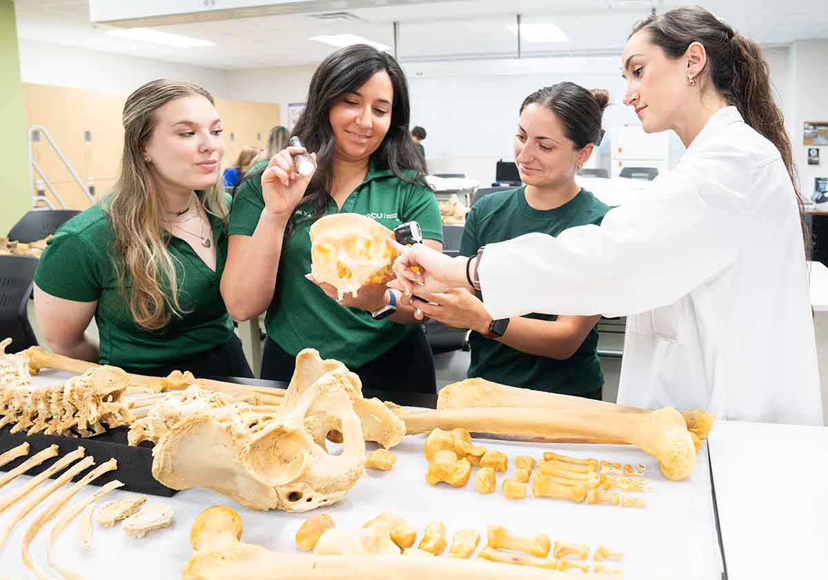 Four women in a laboratory. One holds a partial human skull in her left hand while shining a flashlight on it with her right