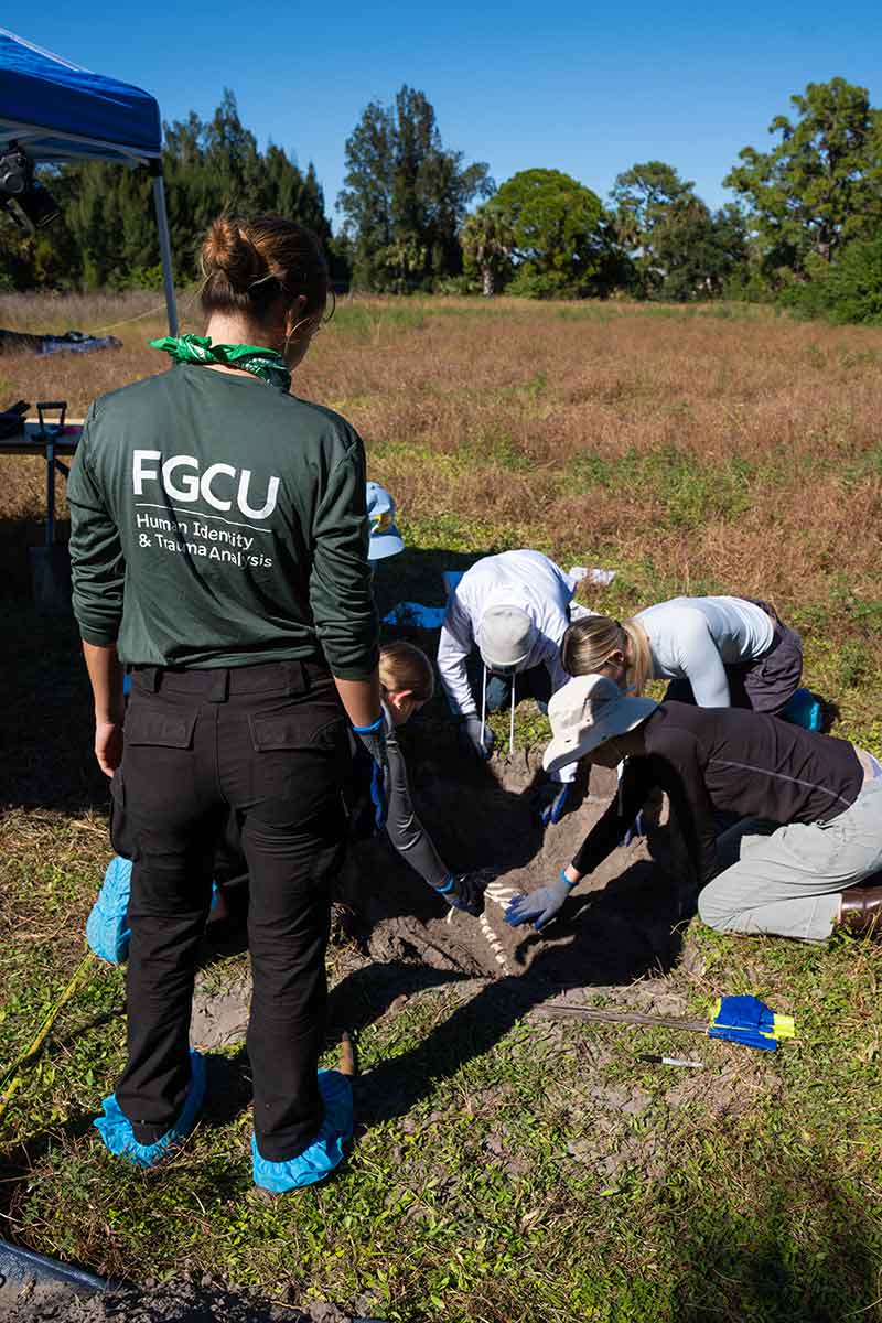 A woman with a green bandana and a green shirt that reads FGCU Human Identity & Trauma Analysis stands, watching four students kneeling, with the skeletal remains of a human ribcage visible in a shallow grave