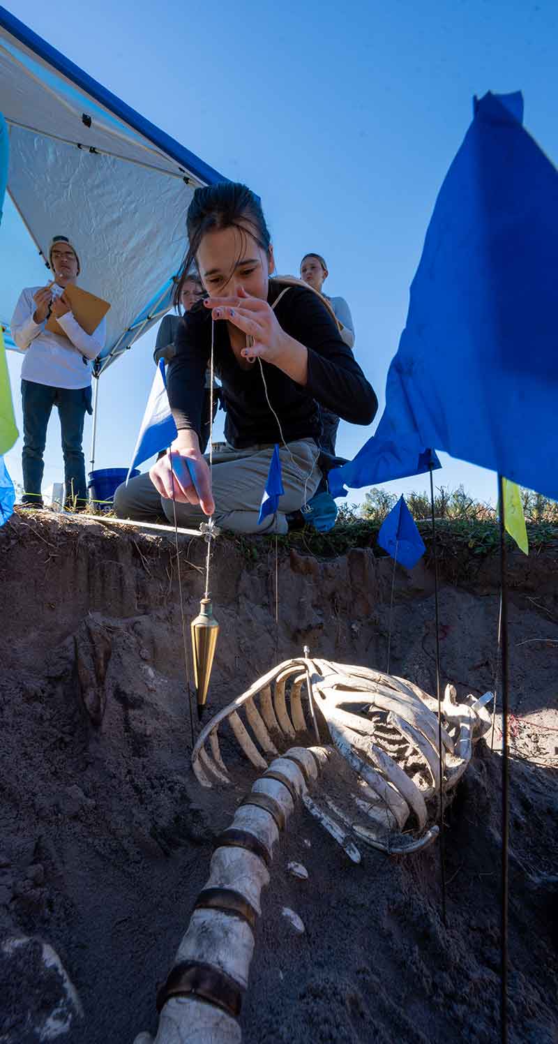 A woman kneels at a shallow grave with a plumb bob in one hand as she holds it directly above the rib cage of a human skeleton