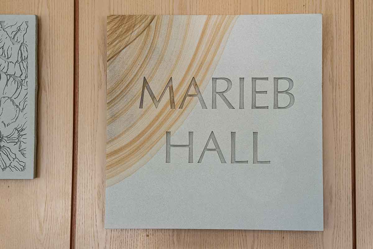 Square engraved panel reading “Marieb Hall,” mounted on a light wood wall, with flowing, woodgrain-like patterns etched into the surface
