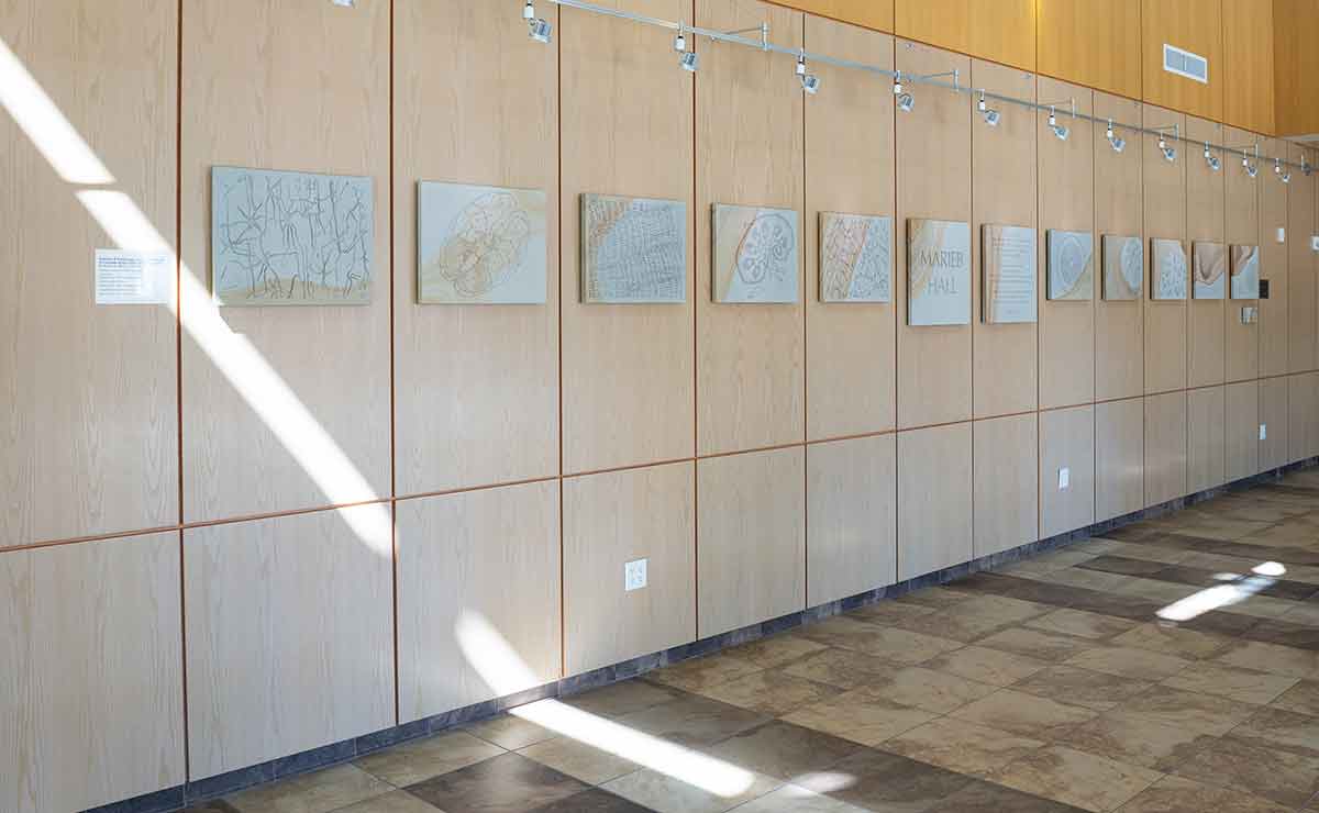 Wide view of a gallery-style installation of engraved panels displayed in a row along a wood-paneled hallway with track lighting overhead