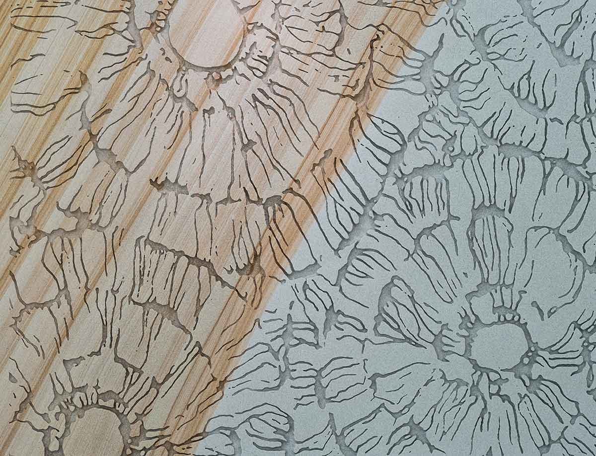 Close-up of engraved repeating circular forms resembling cellular or coral structures, etched into a pale surface with subtle woodgrain accents