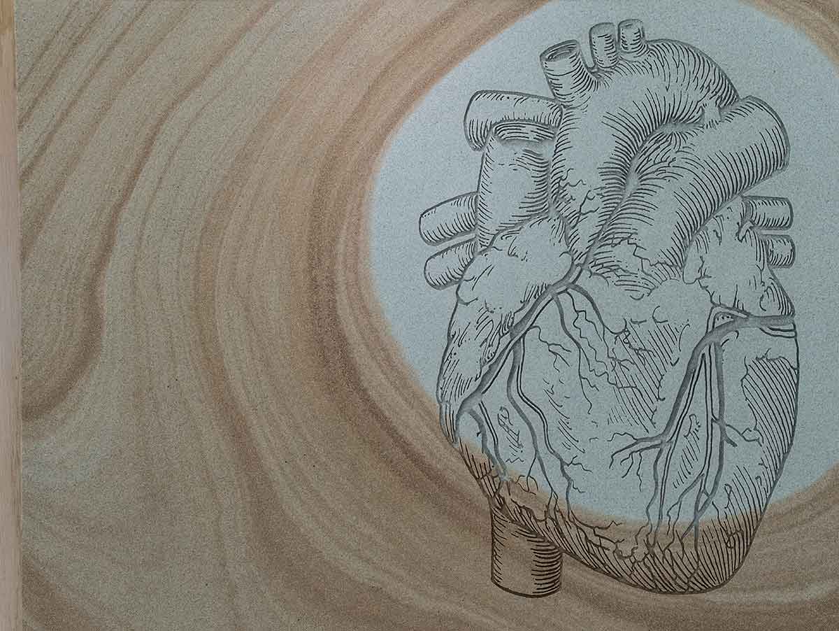 Engraved anatomical illustration of a human heart, rendered in fine linework and surrounded by flowing woodgrain textures