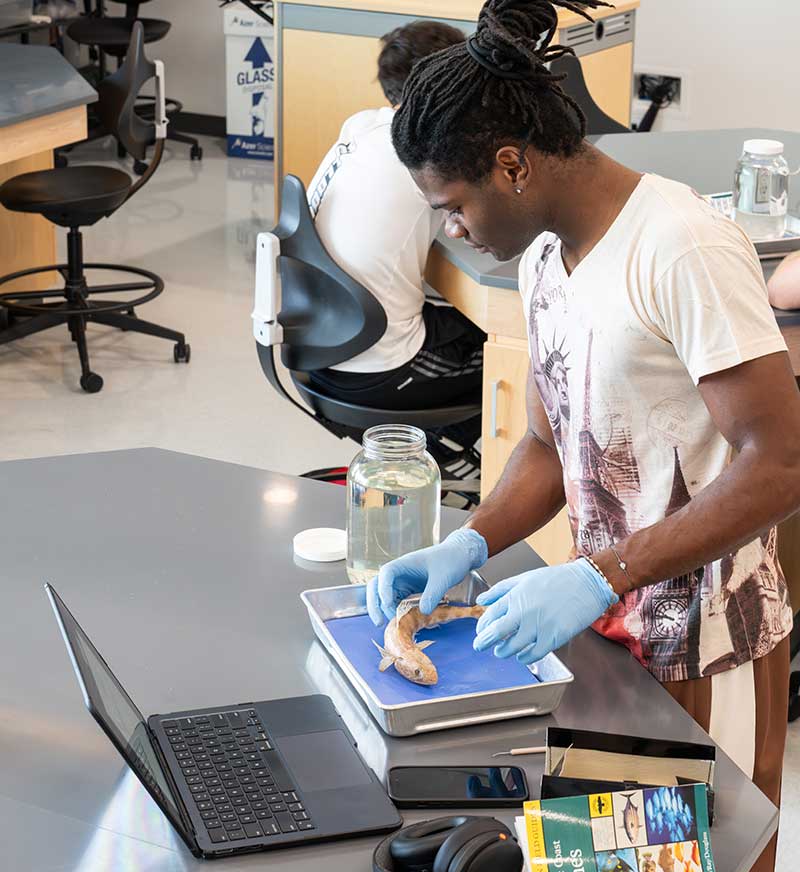 FGCU Water School student conducting hands‑on research in oceanography lab.