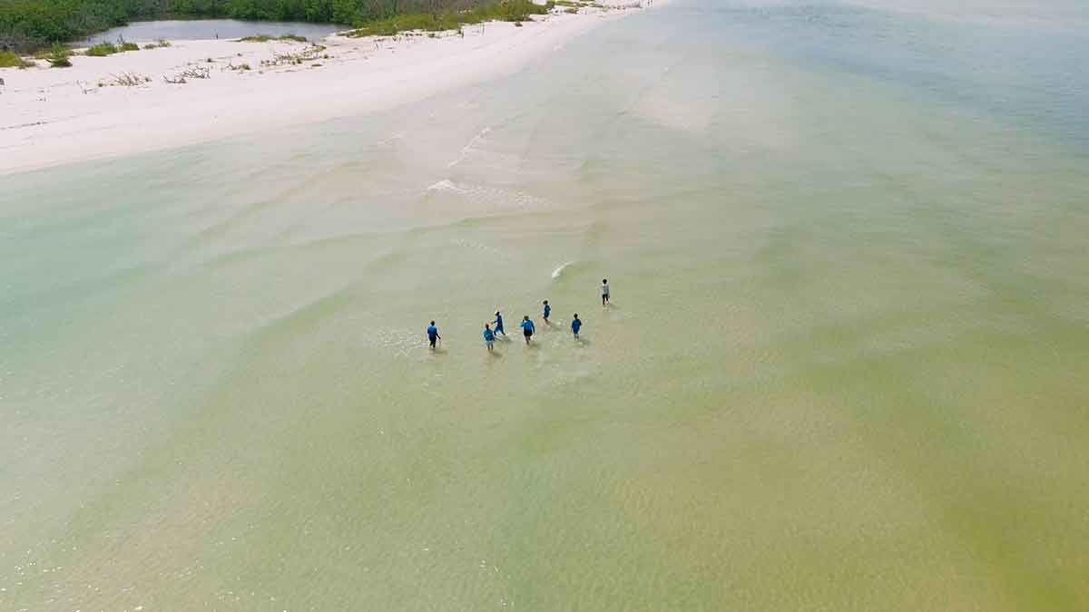 An overhead drone shot of people in blue shirts walking in the water along a long beach